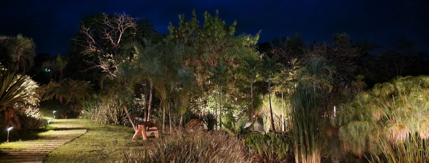 WhatsApp Image 2025-02-05 at 16.47.44-8