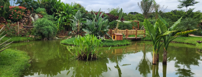 WhatsApp Image 2025-02-05 at 16.47.46 (1)