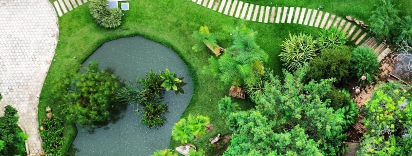 WhatsApp Image 2025-02-05 at 16.49.26 (3)